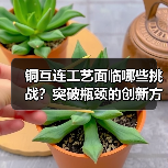 铜互连工艺面临哪些挑战？突破瓶颈的创新方案有哪些？（图2）