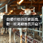 白银价格创历史新高，新一轮周期是否开启？（图3）
