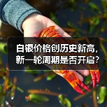 白银价格创历史新高，新一轮周期是否开启？（图1）