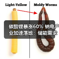 碳酸锂暴涨60% 钠电产业加速落地：储能需求爆发驱动（图2）