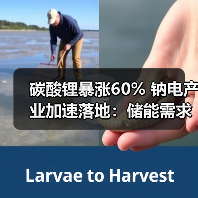 碳酸锂暴涨60% 钠电产业加速落地：储能需求爆发驱动（图4）