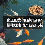 化工股为何强势反弹？揭秘锂电池产业链与储能需求驱动的周期逻辑（图1）