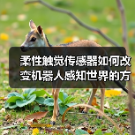 柔性触觉传感器如何改变机器人感知世界的方式(图1) 柔性触觉传感器如何改变机器人感知世界的方式(图1)