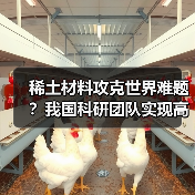 稀土材料攻克世界难题？我国科研团队实现高效电致发光突破（图1）