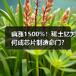 疯涨1500%！稀土钇为何成芯片制造命门？（图3）