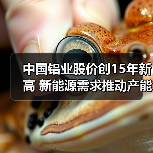 中国铝业股价创15年新高 新能源需求推动产能布局（图1）