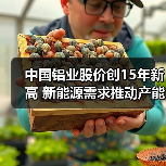 中国铝业股价创15年新高 新能源需求推动产能布局（图2）