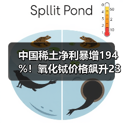 中国稀土净利暴增194%!氧化铽价格飙升23%,重稀土龙头如何突围?(图2) 中国稀土净利暴增194%!氧化铽价格飙升23%,重稀土龙头如何突围?(图2)