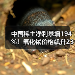 中国稀土净利暴增194%!氧化铽价格飙升23%,重稀土龙头如何突围?(图3) 中国稀土净利暴增194%!氧化铽价格飙升23%,重稀土龙头如何突围?(图3)