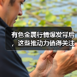 有色金属行情爆发背后,这些推动力值得关注(图4) 有色金属行情爆发背后,这些推动力值得关注(图4)