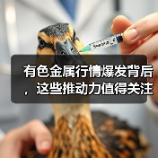 有色金属行情爆发背后,这些推动力值得关注(图3) 有色金属行情爆发背后,这些推动力值得关注(图3)