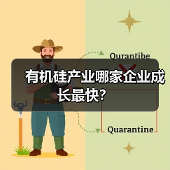 有机硅产业哪家企业成长最快？（图4）
