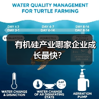 有机硅产业哪家企业成长最快？（图3）