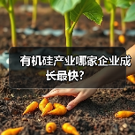 有机硅产业哪家企业成长最快？（图2）
