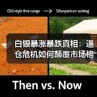 白银暴涨暴跌真相：逼仓危机如何颠覆市场格局？（图3）