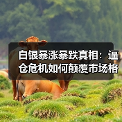 白银暴涨暴跌真相：逼仓危机如何颠覆市场格局？（图1）