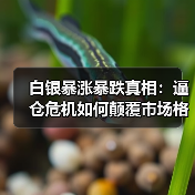 白银暴涨暴跌真相：逼仓危机如何颠覆市场格局？（图2）
