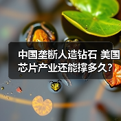中国垄断人造钻石 美国芯片产业还能撑多久?(图4) 中国垄断人造钻石 美国芯片产业还能撑多久?(图4)