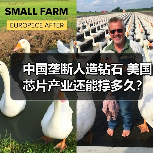 中国垄断人造钻石 美国芯片产业还能撑多久?(图2) 中国垄断人造钻石 美国芯片产业还能撑多久?(图2)