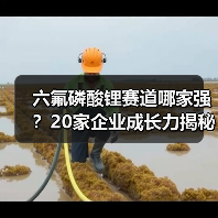 六氟磷酸锂赛道哪家强？20家企业成长力揭秘（图3）