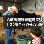 六氟磷酸锂赛道哪家强？20家企业成长力揭秘（图2）