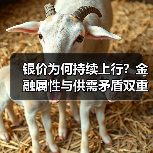 银价为何持续上行?金融属性与供需矛盾双重驱动(图3) 银价为何持续上行?金融属性与供需矛盾双重驱动(图3)