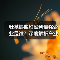 钍基熔盐堆盈利最强企业是谁?深度解析产业链表现(图4) 钍基熔盐堆盈利最强企业是谁?深度解析产业链表现(图4)