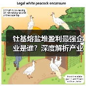 钍基熔盐堆盈利最强企业是谁?深度解析产业链表现(图3) 钍基熔盐堆盈利最强企业是谁?深度解析产业链表现(图3)