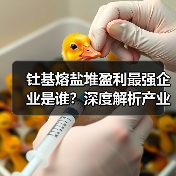 钍基熔盐堆盈利最强企业是谁?深度解析产业链表现(图1) 钍基熔盐堆盈利最强企业是谁?深度解析产业链表现(图1)