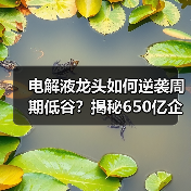 电解液龙头如何逆袭周期低谷?揭秘650亿企业转型之路(图4) 电解液龙头如何逆袭周期低谷?揭秘650亿企业转型之路(图4)