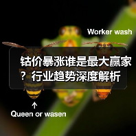 钴价暴涨谁是最大赢家?行业趋势深度解析(图3) 钴价暴涨谁是最大赢家?行业趋势深度解析(图3)