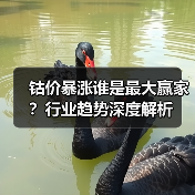 钴价暴涨谁是最大赢家?行业趋势深度解析(图2) 钴价暴涨谁是最大赢家?行业趋势深度解析(图2)