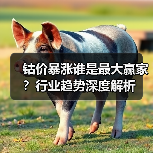 钴价暴涨谁是最大赢家?行业趋势深度解析(图1) 钴价暴涨谁是最大赢家?行业趋势深度解析(图1)