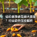 钴价暴涨谁是最大赢家?行业趋势深度解析(图4) 钴价暴涨谁是最大赢家?行业趋势深度解析(图4)