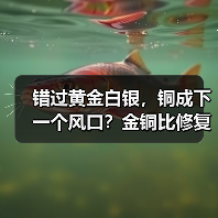 错过黄金白银,铜成下一个风口?金铜比修复路径分析(图3) 错过黄金白银,铜成下一个风口?金铜比修复路径分析(图3)