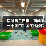 错过黄金白银,铜成下一个风口?金铜比修复路径分析(图1) 错过黄金白银,铜成下一个风口?金铜比修复路径分析(图1)
