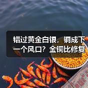 错过黄金白银,铜成下一个风口?金铜比修复路径分析(图4) 错过黄金白银,铜成下一个风口?金铜比修复路径分析(图4)