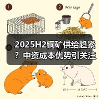 2025H2铜矿供给趋紧?中资成本优势引关注(图3) 2025H2铜矿供给趋紧?中资成本优势引关注(图3)