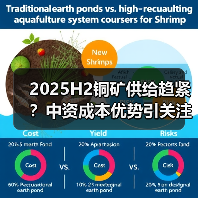 2025H2铜矿供给趋紧?中资成本优势引关注(图1) 2025H2铜矿供给趋紧?中资成本优势引关注(图1)