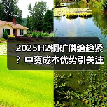 2025H2铜矿供给趋紧?中资成本优势引关注(图4) 2025H2铜矿供给趋紧?中资成本优势引关注(图4)