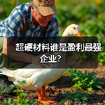 超硬材料谁是盈利最强企业?(图2) 超硬材料谁是盈利最强企业?(图2)