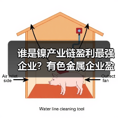 谁是镍产业链盈利最强企业？有色金属企业盈利对比分析（图4）
