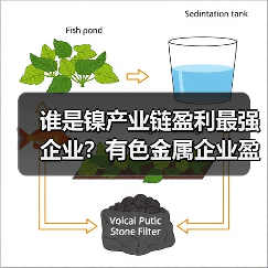 谁是镍产业链盈利最强企业？有色金属企业盈利对比分析（图3）