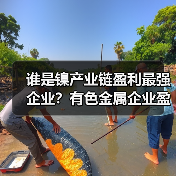 谁是镍产业链盈利最强企业？有色金属企业盈利对比分析（图2）