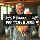 钨价暴涨600%！供需失衡与战略资源崛起背后的真相（图3）