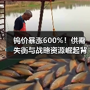钨价暴涨600%！供需失衡与战略资源崛起背后的真相（图2）