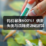 钨价暴涨600%！供需失衡与战略资源崛起背后的真相（图4）
