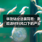 华友钴业逆袭背后:新能源材料风口下的产业突围(图4) 华友钴业逆袭背后:新能源材料风口下的产业突围(图4)