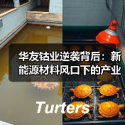 华友钴业逆袭背后:新能源材料风口下的产业突围(图2) 华友钴业逆袭背后:新能源材料风口下的产业突围(图2)