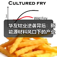 华友钴业逆袭背后:新能源材料风口下的产业突围(图1) 华友钴业逆袭背后:新能源材料风口下的产业突围(图1)